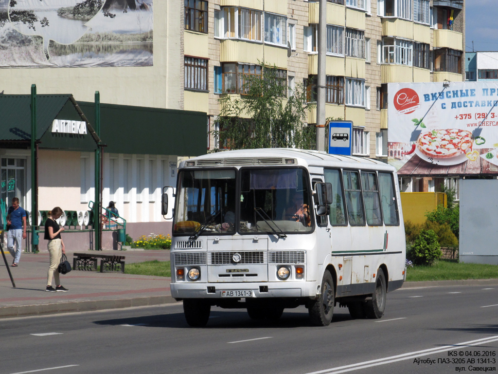 Rechica, PAZ-3205* # АВ 1341-3