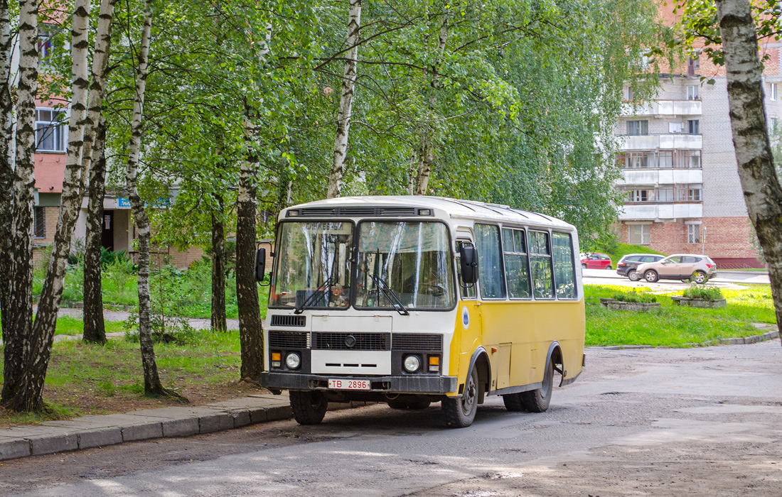 Mogilev, PAZ-3205-110 (32050R) č. ТВ 2896