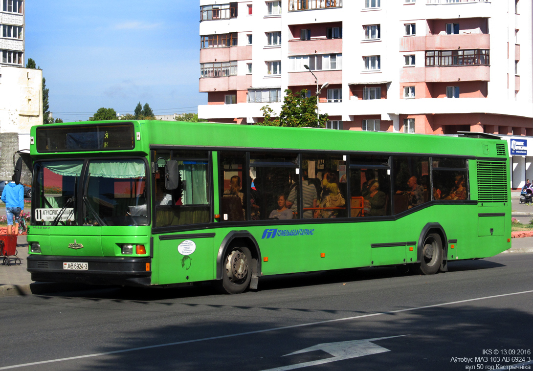 Svetlogorsk, MAZ-103.065 # 1695