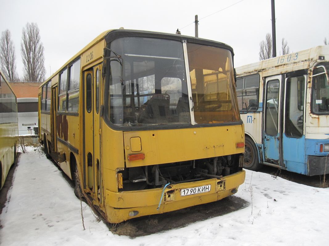 Kyiv, Ikarus 260.37 No. 1216