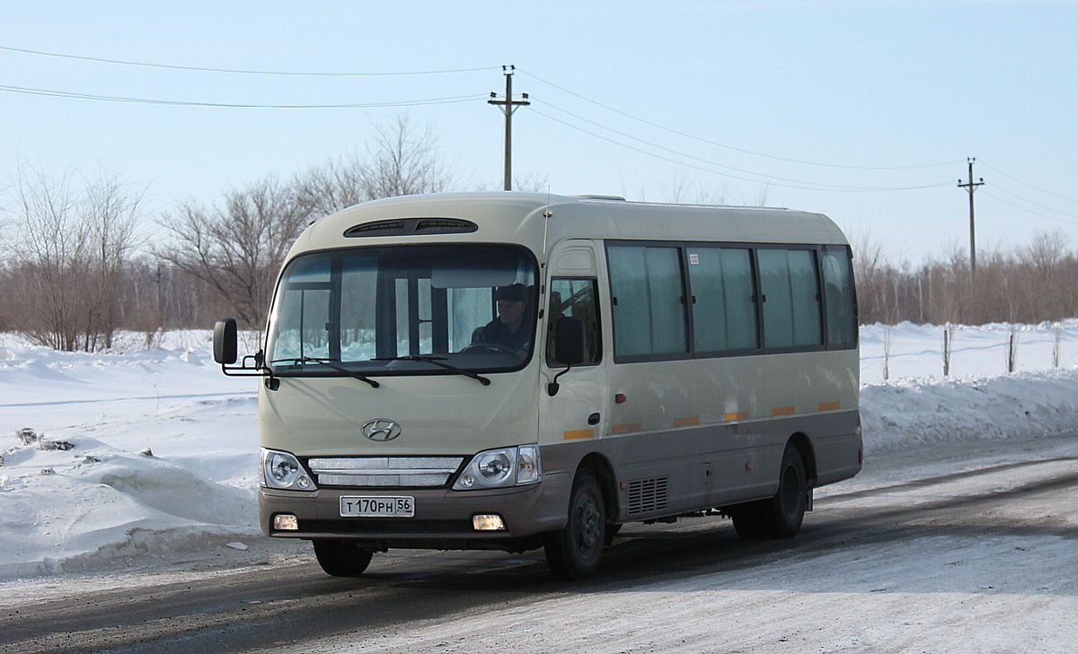 Гай, Hyundai County Kuzbass № Т 170 РН 56