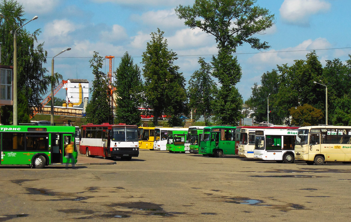 Vitebsk — Miscellaneous photos