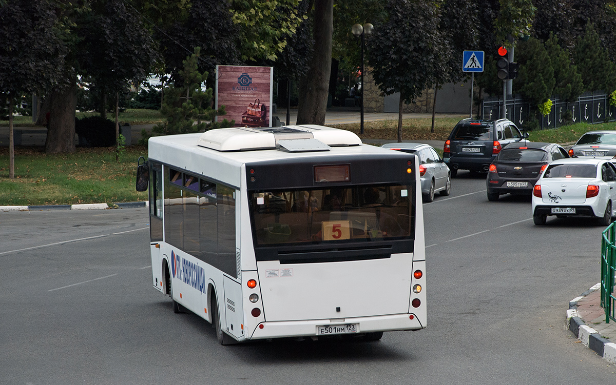 Novorossiysk, MAZ-206.063 № Е 501 НМ 123