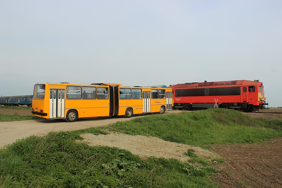 Ungverjaland, other, Ikarus 280.17 # BPR-177; A trip in honor of the 14th anniversary of the site Phototrans.eu