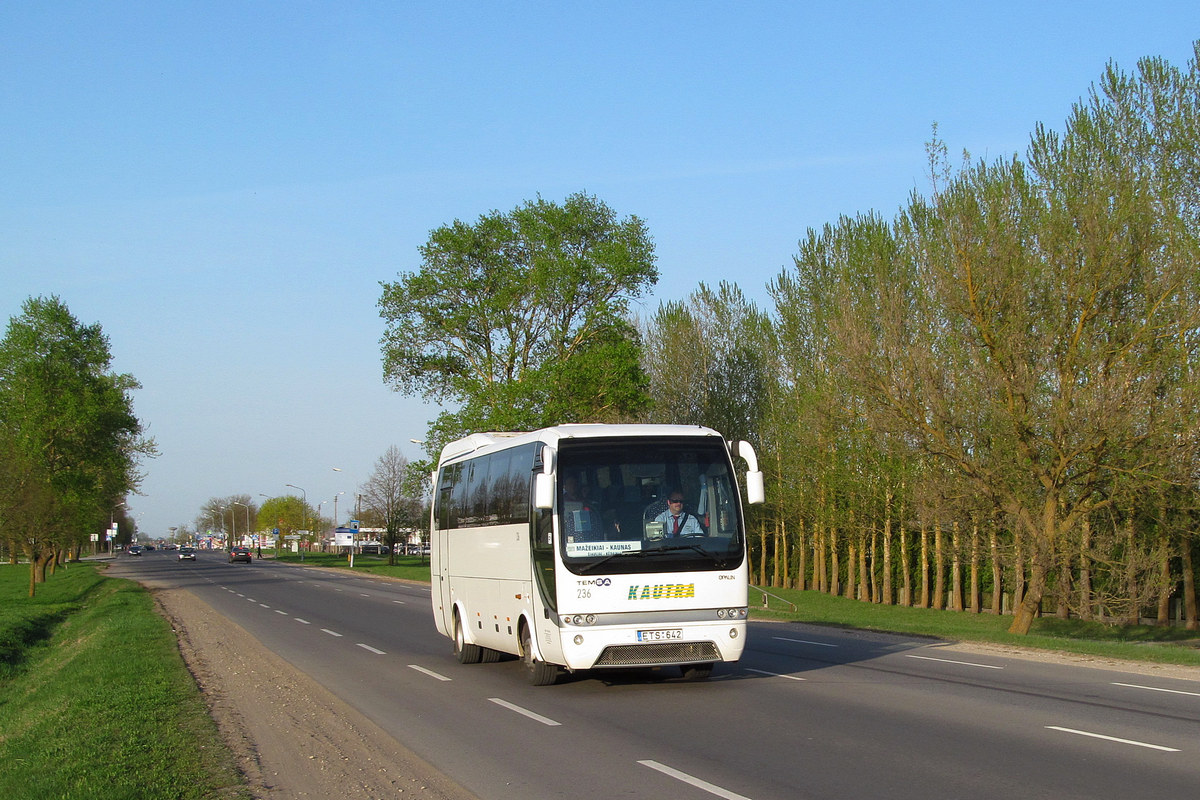 Kaunas, TEMSA Opalin 9 # 236