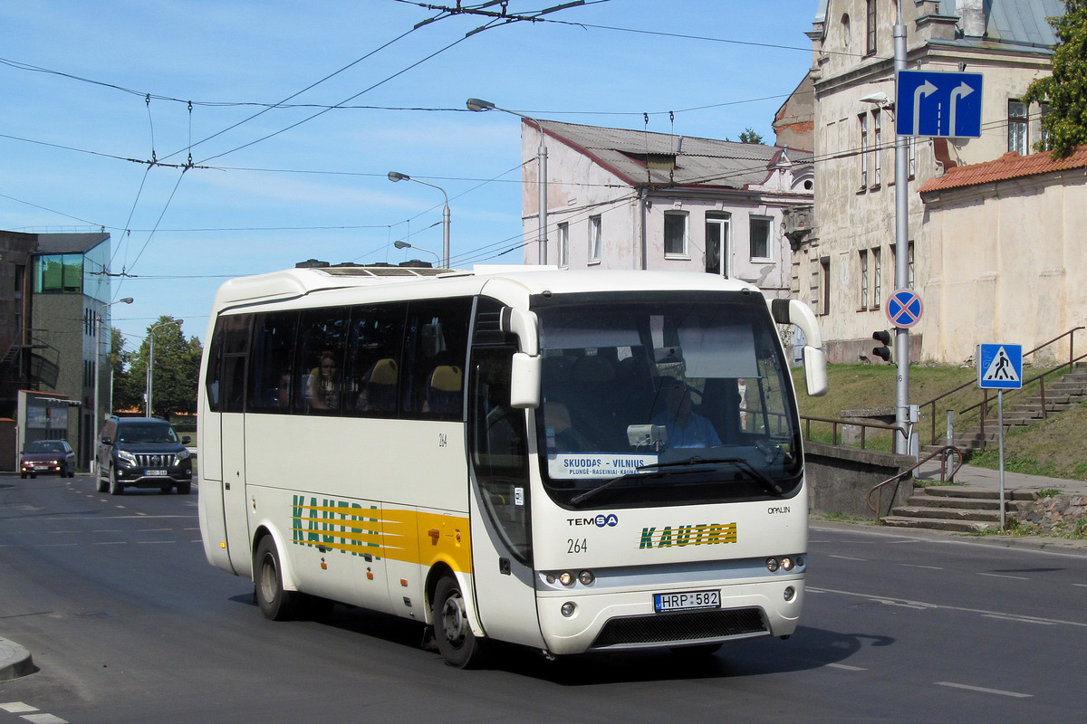 Kaunas, TEMSA Opalin # 264