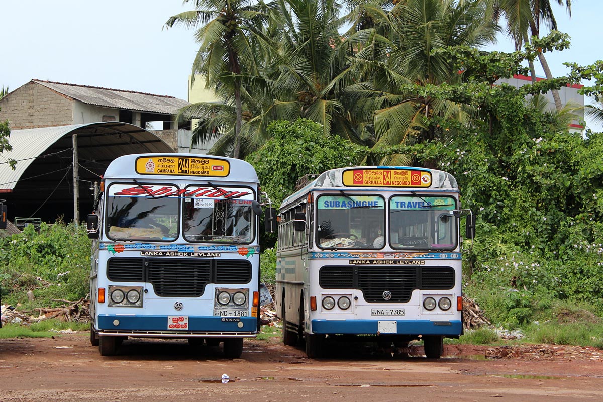 Negombo, Lanka Ashok Leyland # NA-7385; Negombo, Lanka Ashok Leyland # NC-1881
