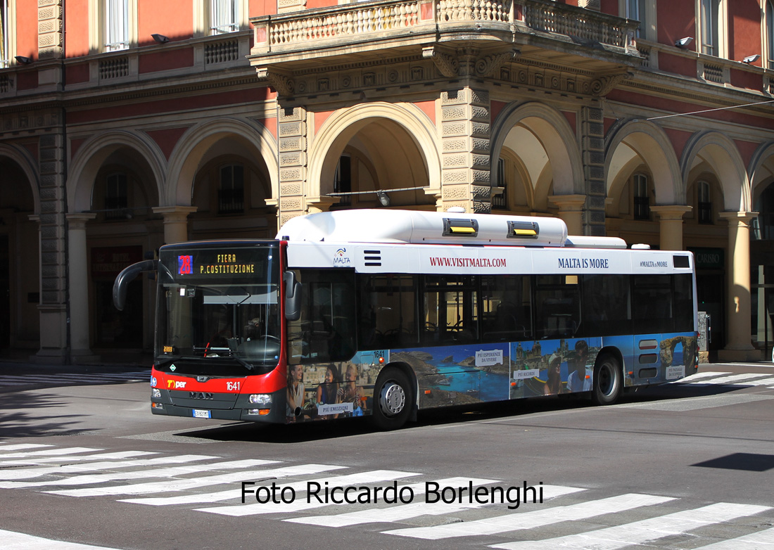 Bologna, MAN A21 Lion's City NL243 CNG # 1641