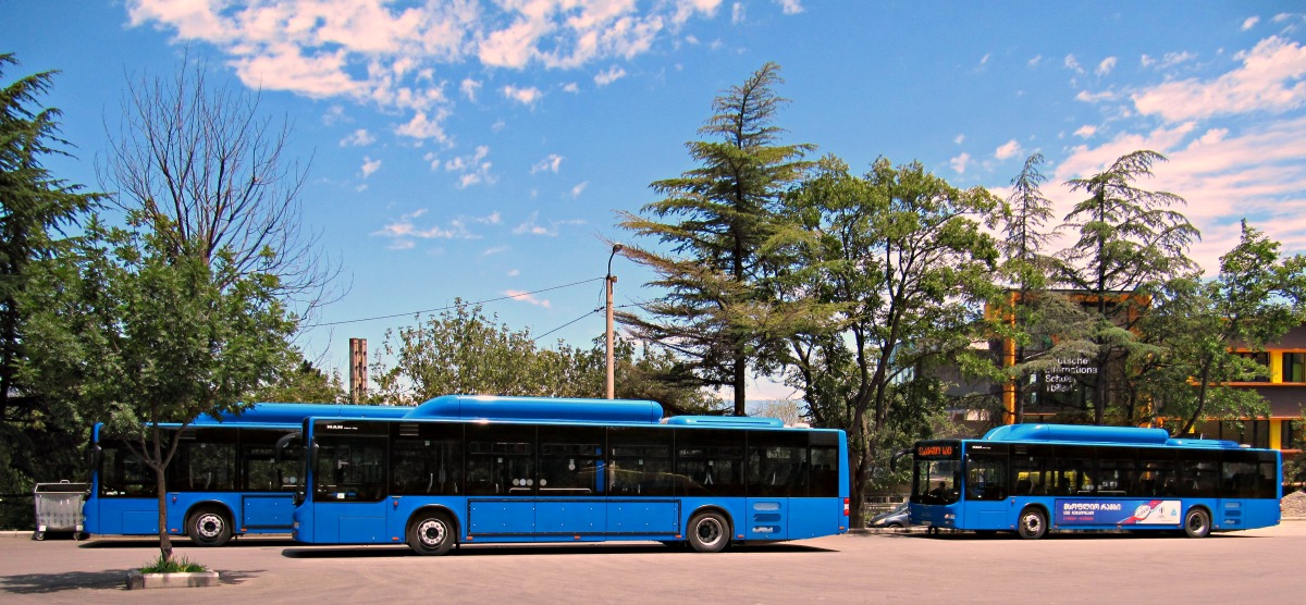 Tbilisi, MAN A21 Lion's City NL313 CNG # TT-127-CB; Tbilisi, MAN A21 Lion's City NL313 CNG # TT-115-CB; Tbilisi, MAN A21 Lion's City NL313 CNG # TT-121-CB