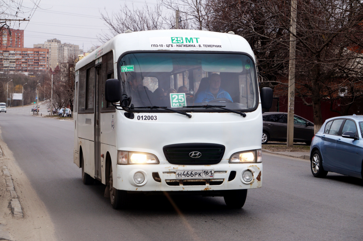 Rostov-on-Don, Hyundai County LWB C09 (ТагАЗ) # 012003