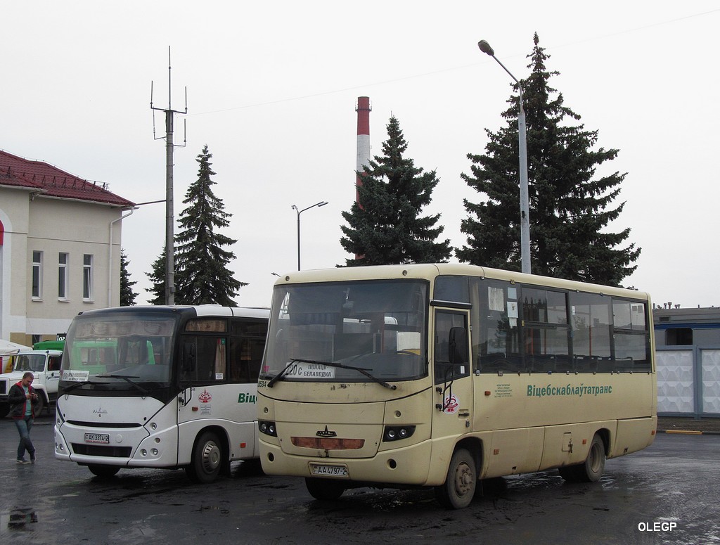 Polotsk, MAZ-256.200 No. 019534