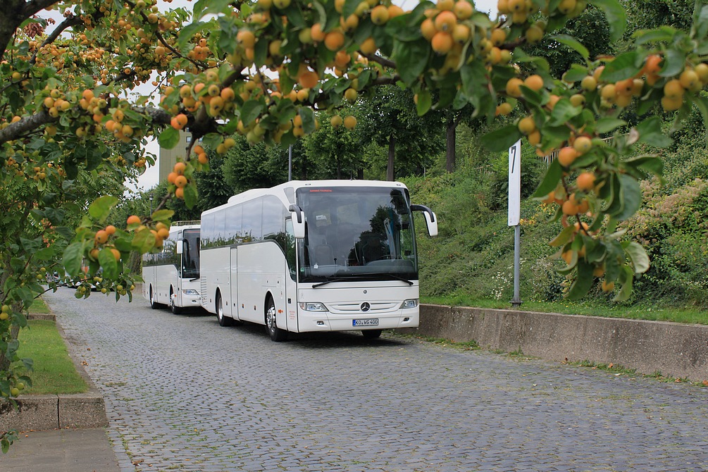 Koblenz, Mercedes-Benz Tourismo 15RHD-II # KO-WG 400