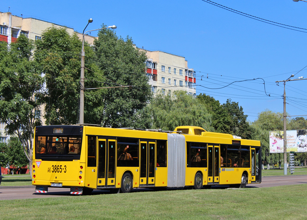 Gomel, MAZ-215.169 nr. 036919