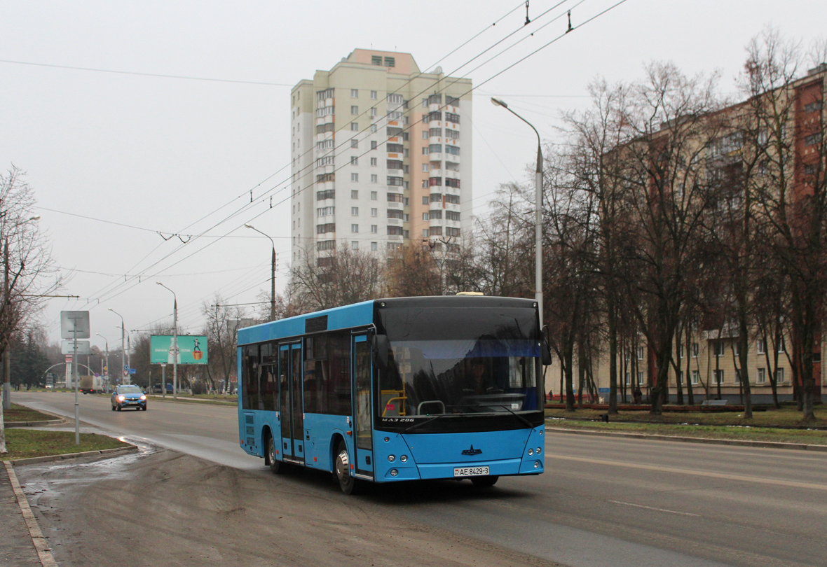 Gomel, MAZ-206.*** # АЕ 8429-3