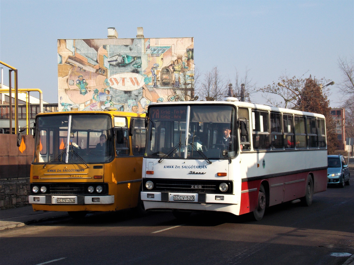 Ungaria, other, Ikarus 266.25 nr. CCV-442; Ungaria, other, Ikarus 260.06 nr. CCV-520
