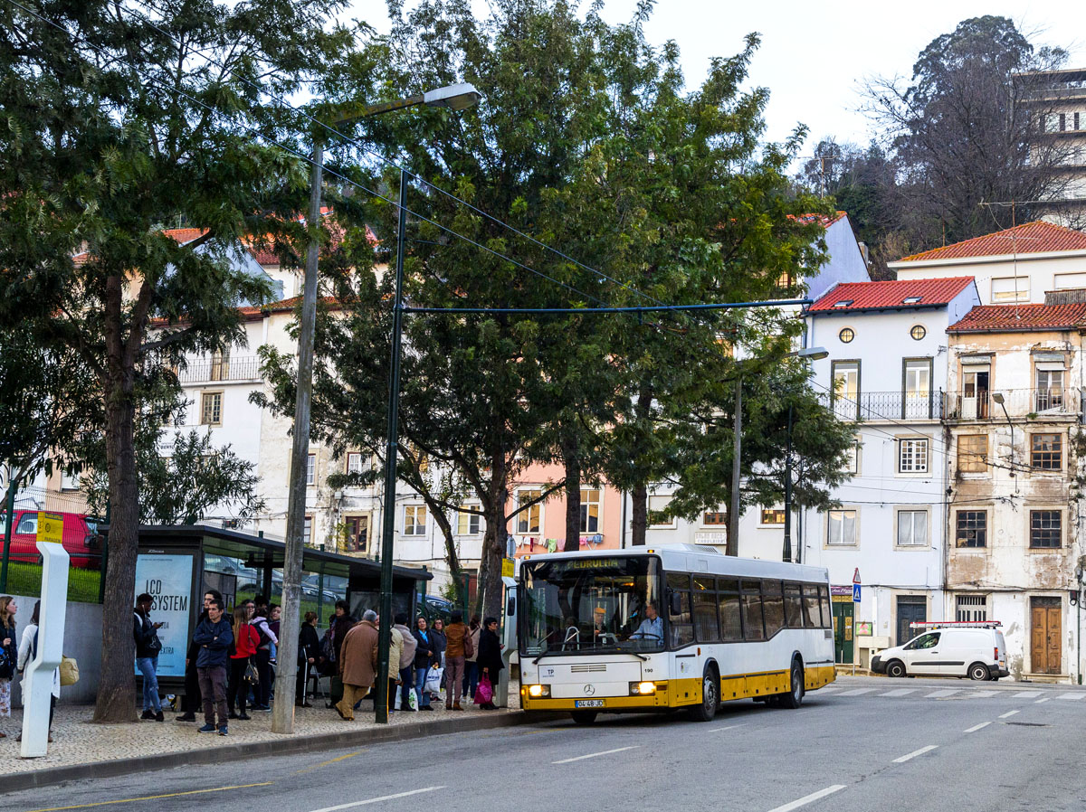 Coimbra, Camo Camus # 190