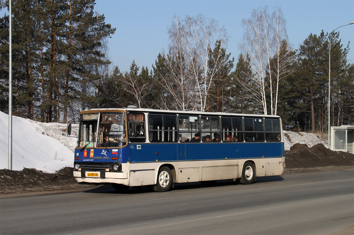 Zheleznogorsk (Krasnoyarskiy krai), Ikarus 260.50 # АЕ 391 24