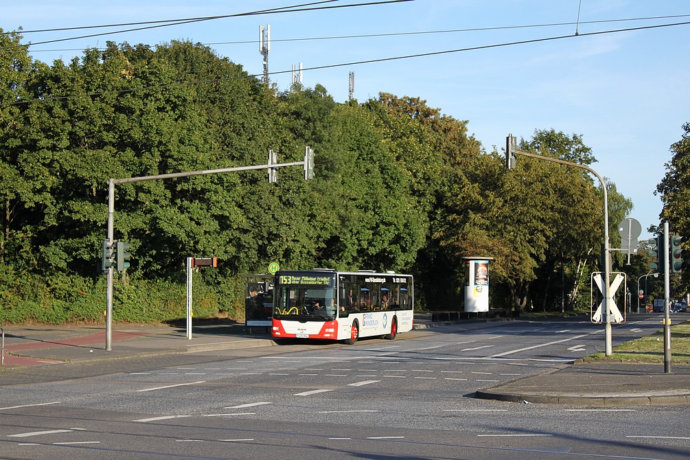 Cologne, MAN A21 Lion's City NL273 № K-VK 804