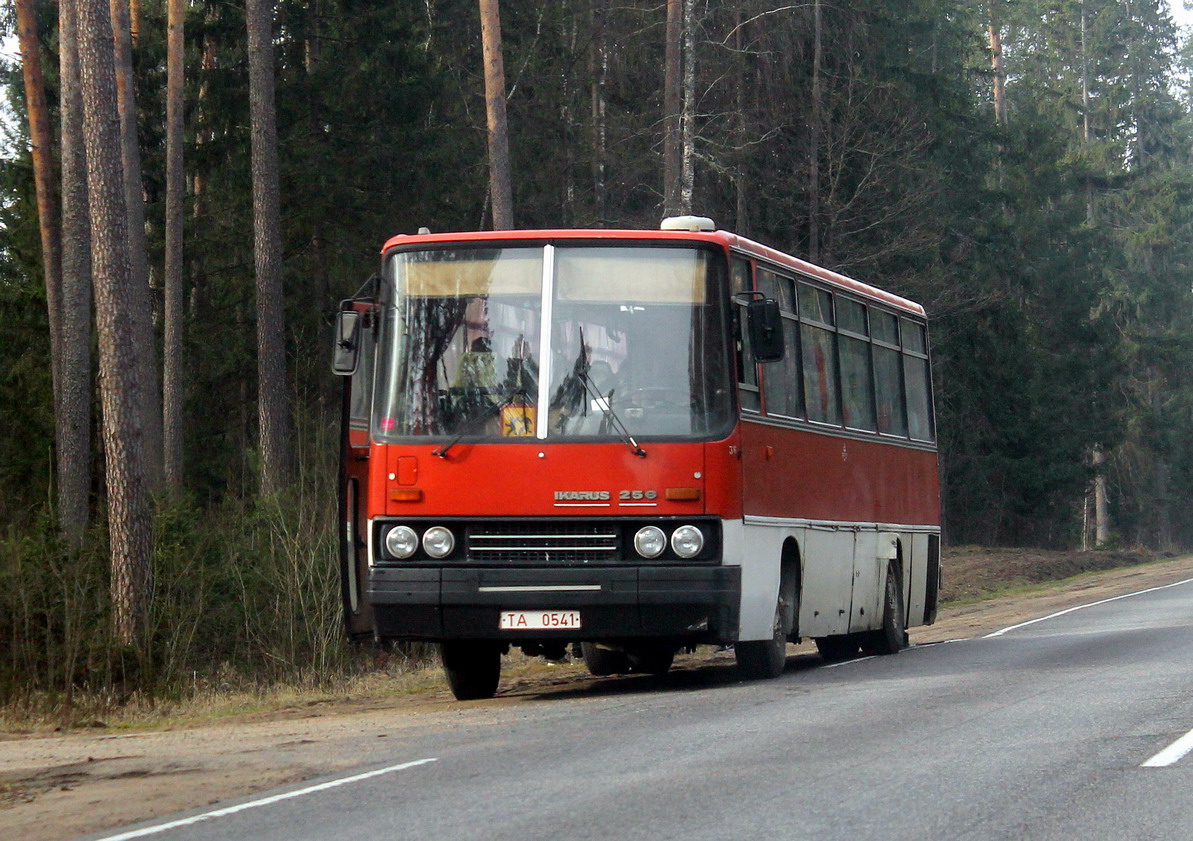 Bobruysk, Ikarus 256.** No. ТА 0541