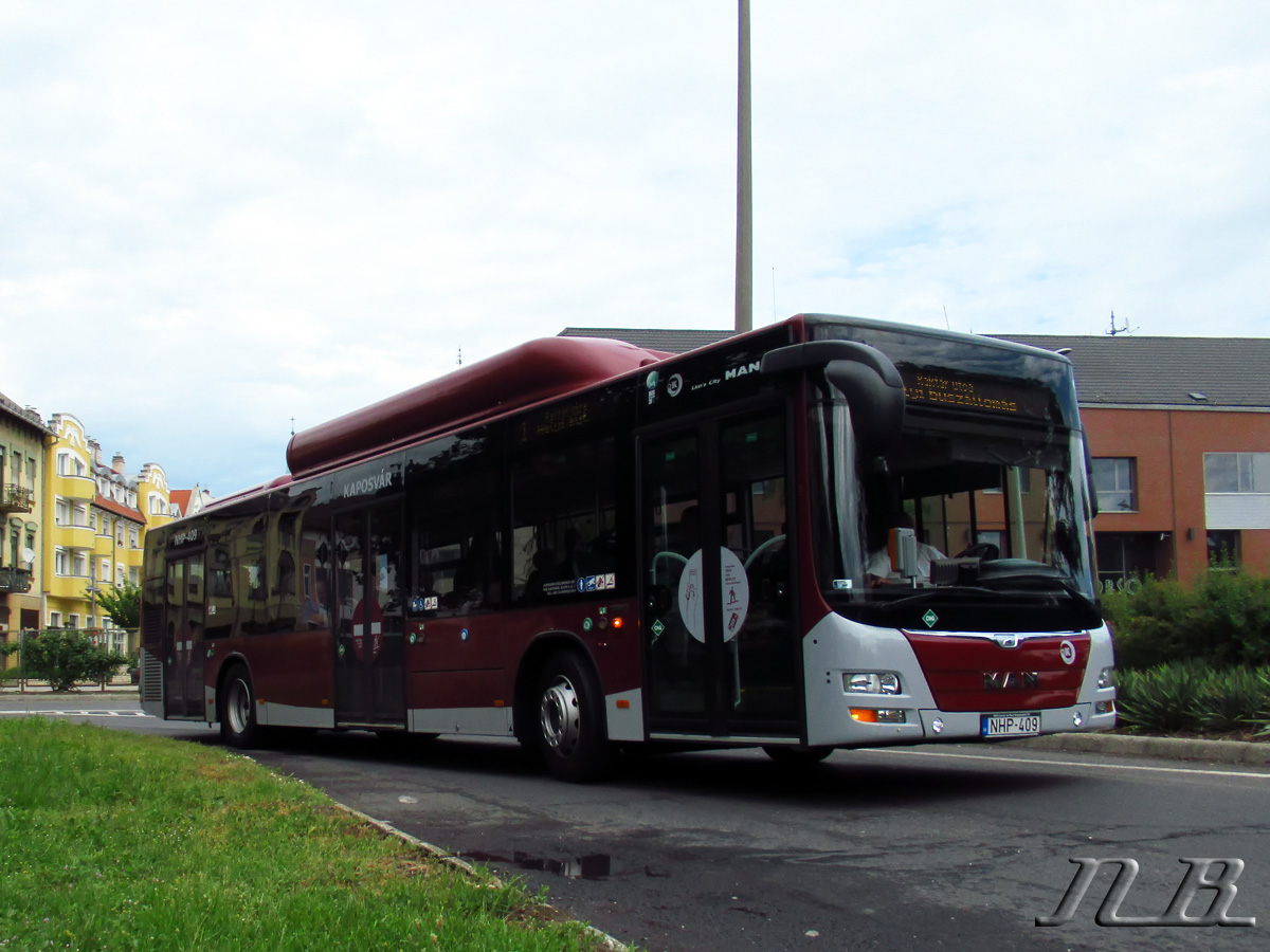 Hungary, other, MAN A21 Lion's City NL273 CNG # NHP-409