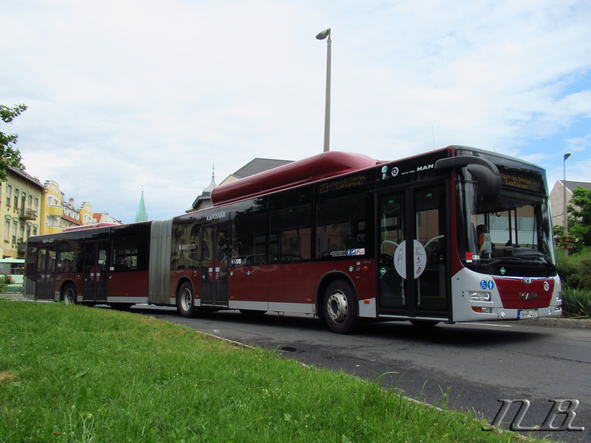 Hungary, other, MAN A40 Lion's City GL NG313 CNG # NHP-437