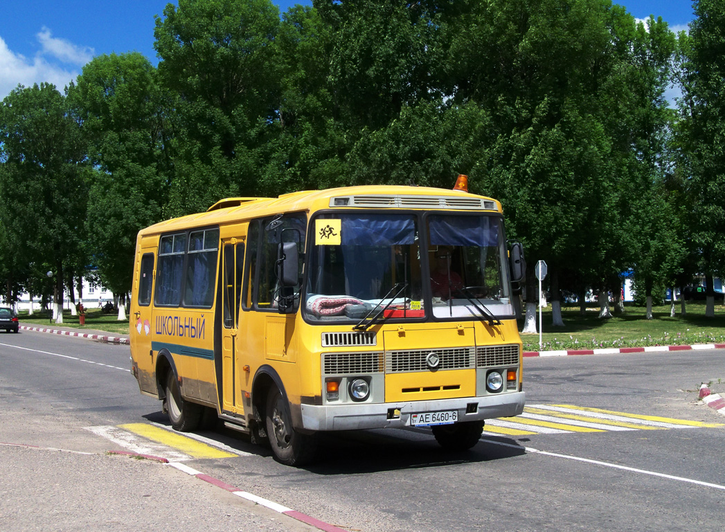 Cherikov, ПАЗ-РАП-32053-70 č. АЕ 6460-6