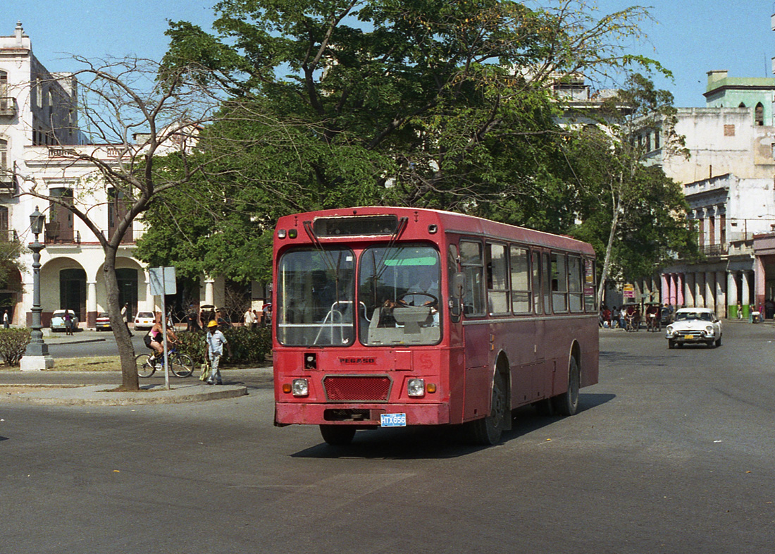 Havana, PEGASO # HTX-656