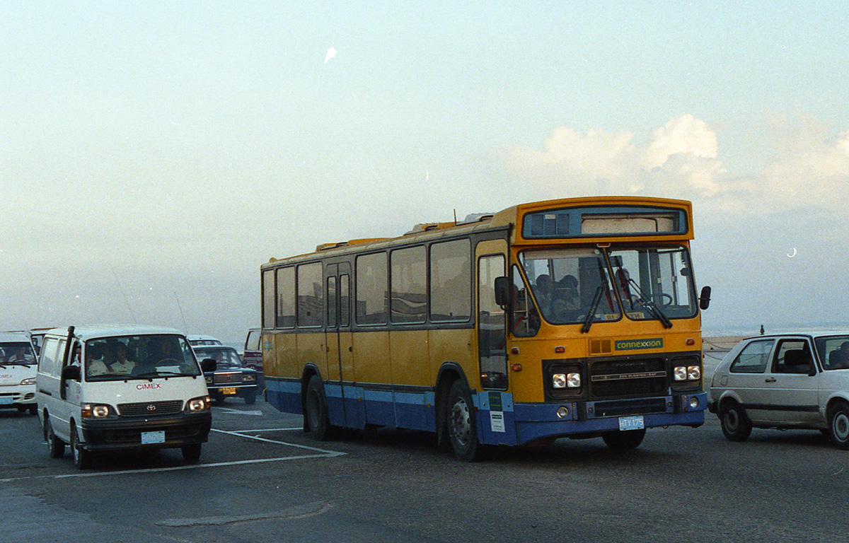 Havana, Den Oudsten # HTY-175