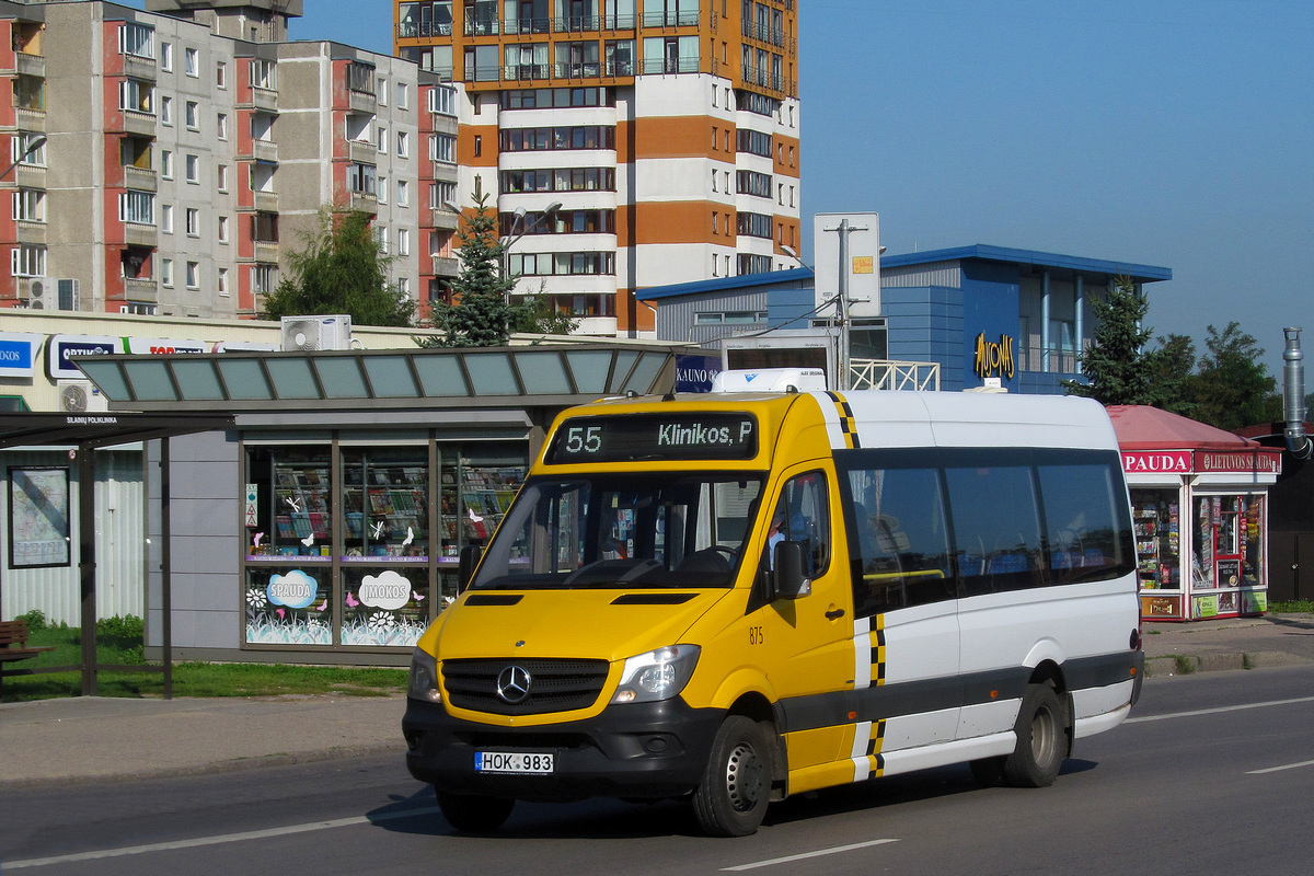 Kaunas, Altas Cityline (MB Sprinter 516CDI) # 875