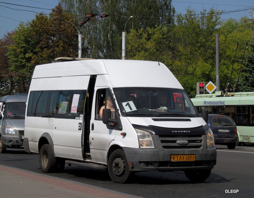 Mogilev, Promteh-224320 (Ford Transit) # 6ТАХ4603