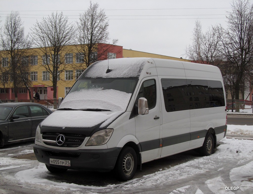 Belgorod, Mercedes-Benz Sprinter 316CDI # Н 055 ТР 31