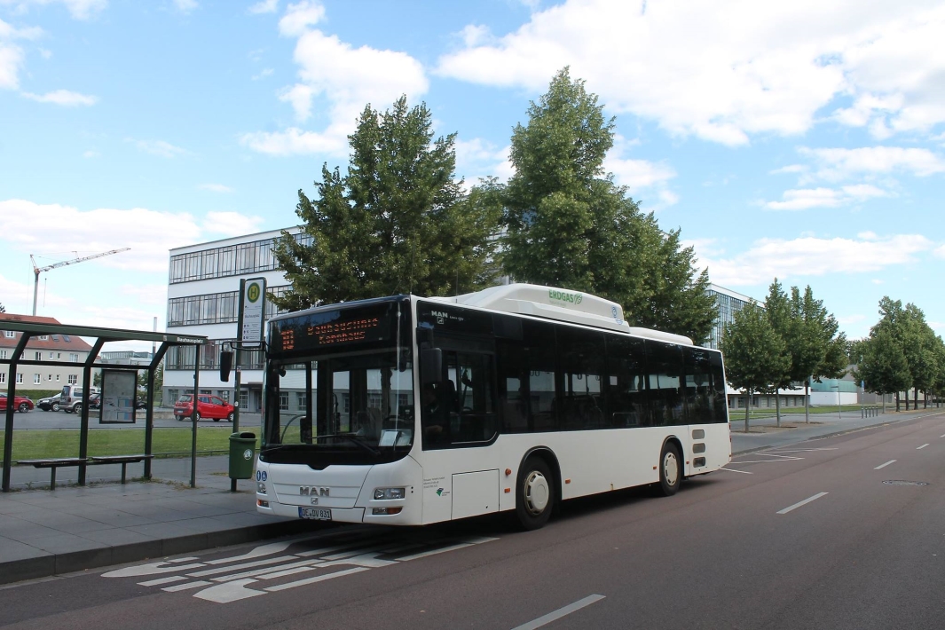 Dessau-Roßlau, MAN A22 Lion's City M NL313 CNG # 831