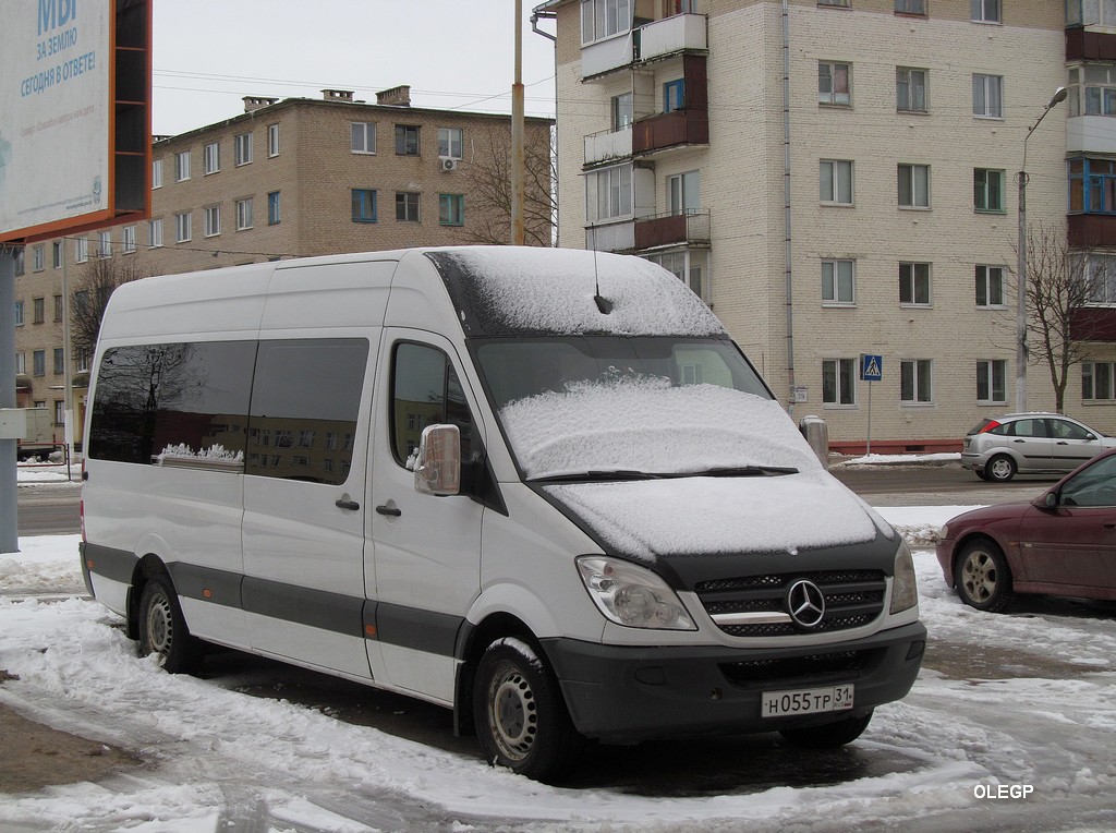 Belgorod, Mercedes-Benz Sprinter 316CDI No. Н 055 ТР 31