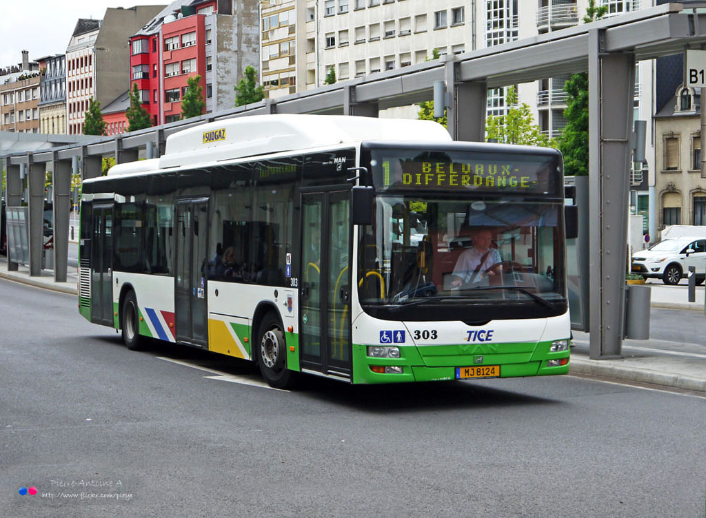 Esch-sur-Alzette, MAN A21 Lion's City NL313 CNG № 303