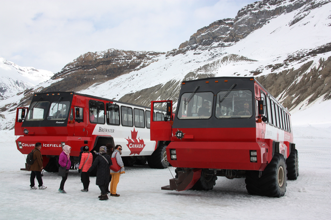 Calgary, Foremost Terra Bus # 541; Calgary, Foremost Terra Bus # 544