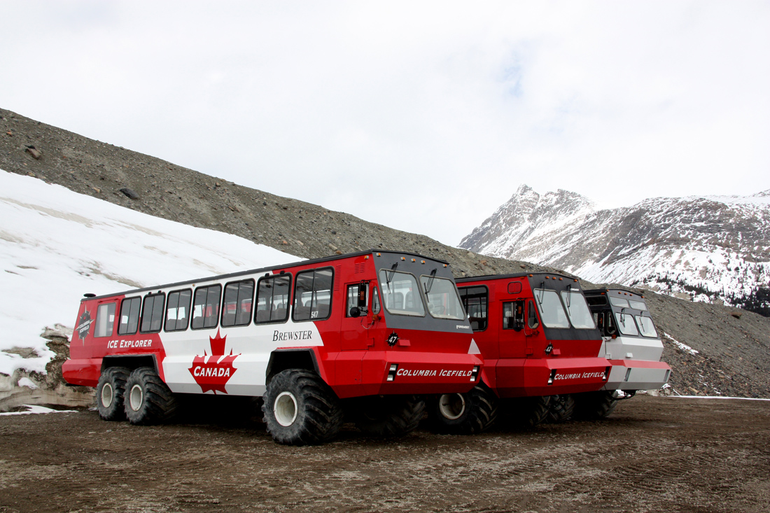Calgary, Foremost Terra Bus # 547