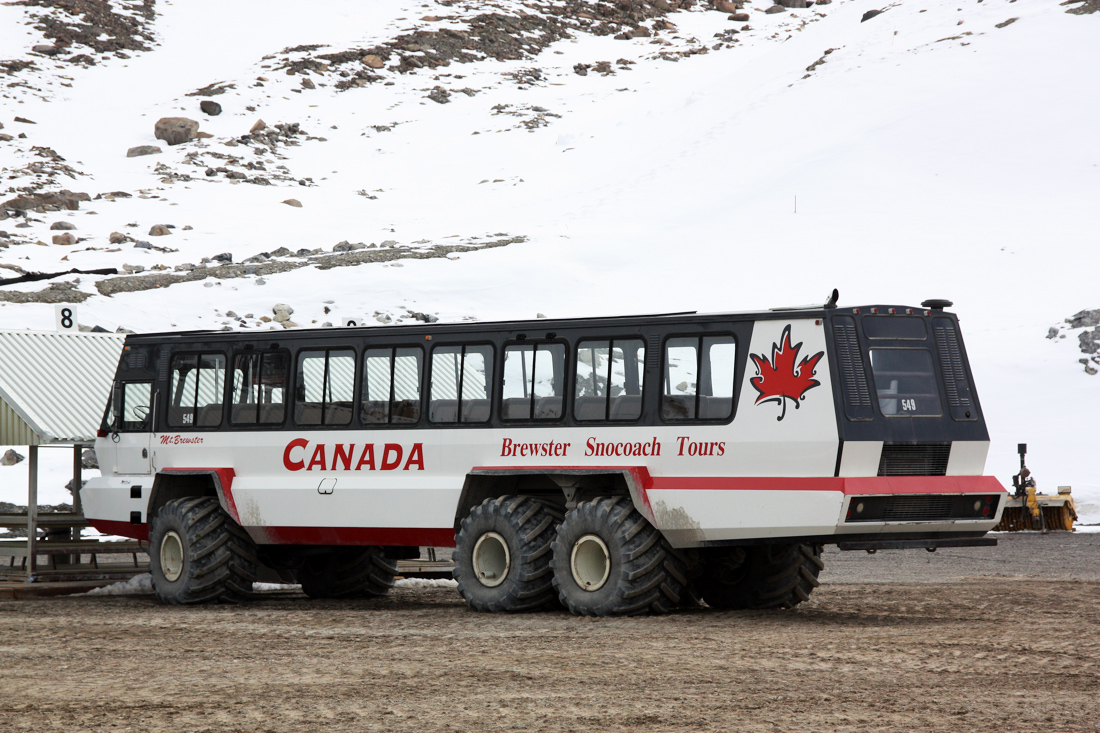 Calgary, Foremost Terra Bus nr. 549