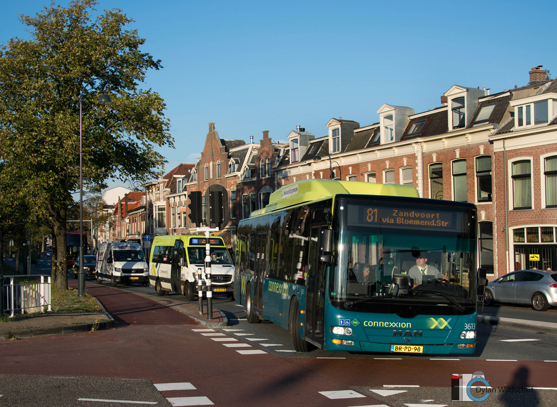 Haarlem, MAN A21 Lion's City NL243 CNG Nr. 3613