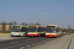 bp tour autobusy