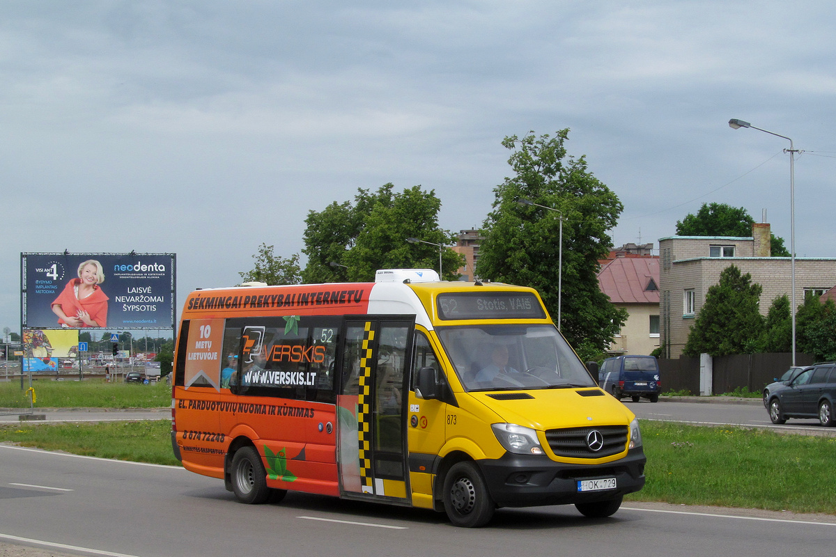 Kaunas, Altas Cityline (MB Sprinter 516CDI) # 873