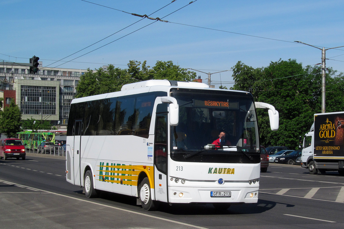 Kaunas, TEMSA MD 9 # 213