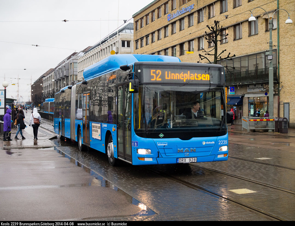 Gothenburg, MAN A23 Lion's City G NG313 CNG nr. 2239