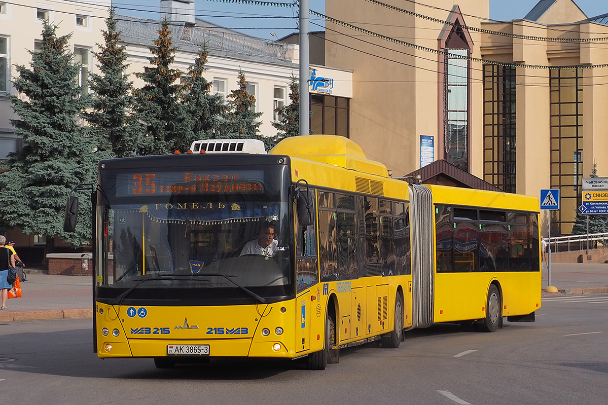 Gomel, MAZ-215.169 č. 036919