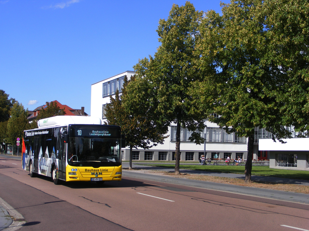 Dessau-Roßlau, MAN A21 Lion's City NL243 CNG # 859