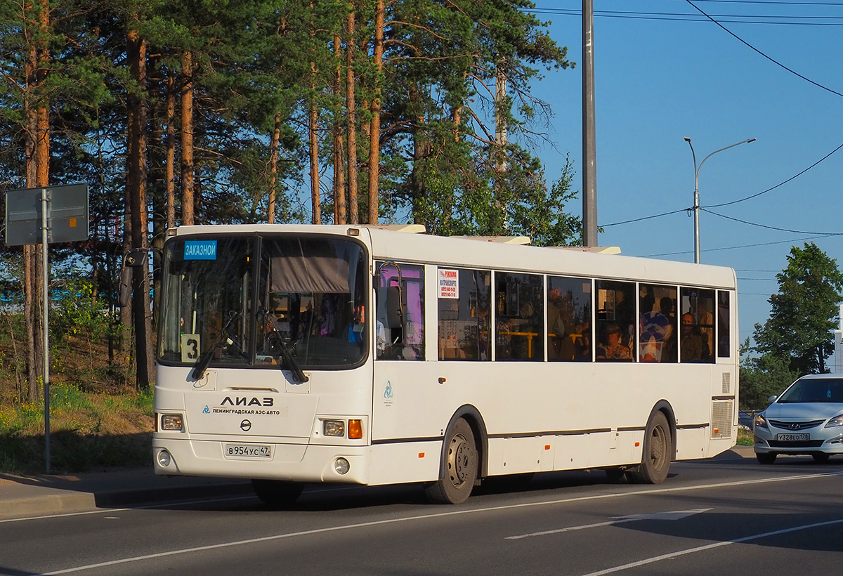 Sosnovy Bor, LiAZ-5256.60 nr. В 954 УС 47