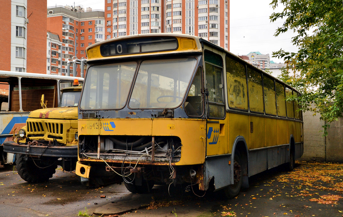 Москва — Автобусы без номеров