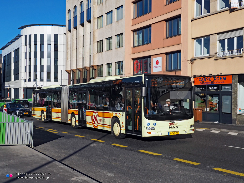 Capellen, MAN A40 Lion's City GL NG363 # DC 4377