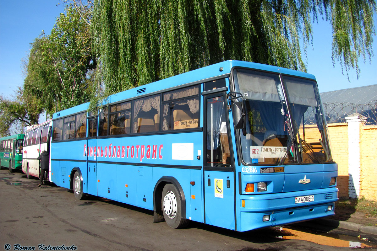Рогачёв, МАЗ-152.022 № 032816