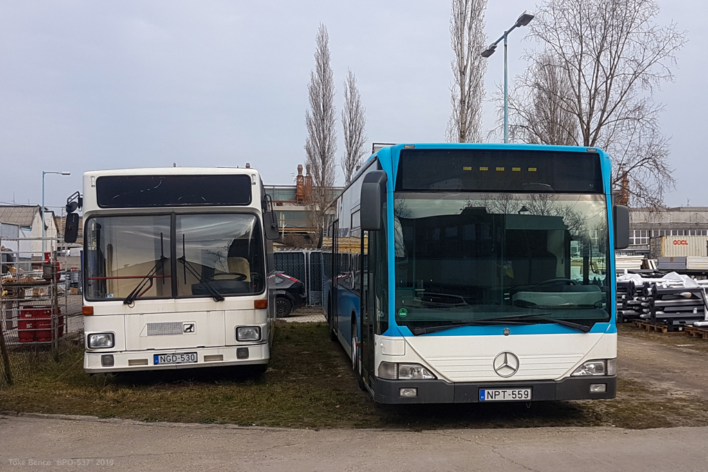 Hungary, other, Gräf & Stift J80 GSLH136 M8 # NGD-530; Hungary, other, Mercedes-Benz O530 Citaro # NPT-559