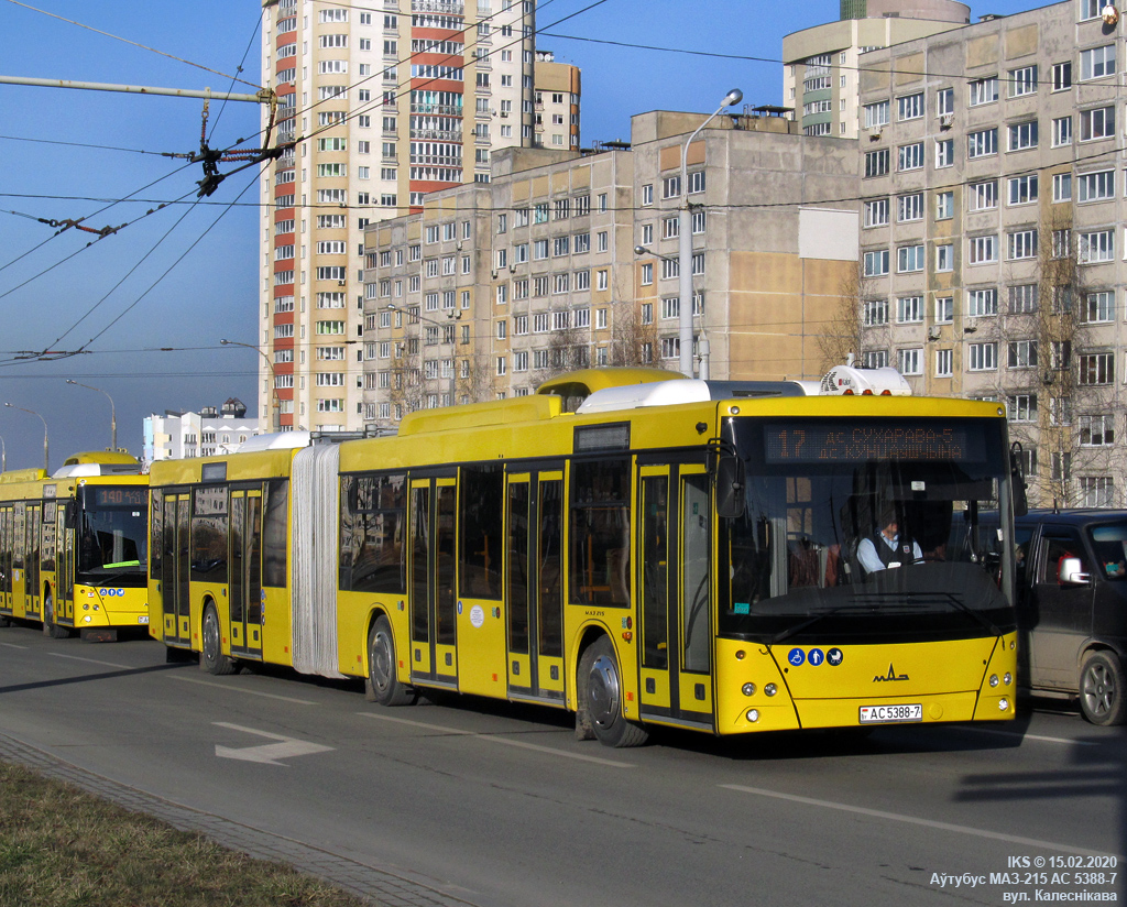 Minsk, MAZ-215.069 # 043354